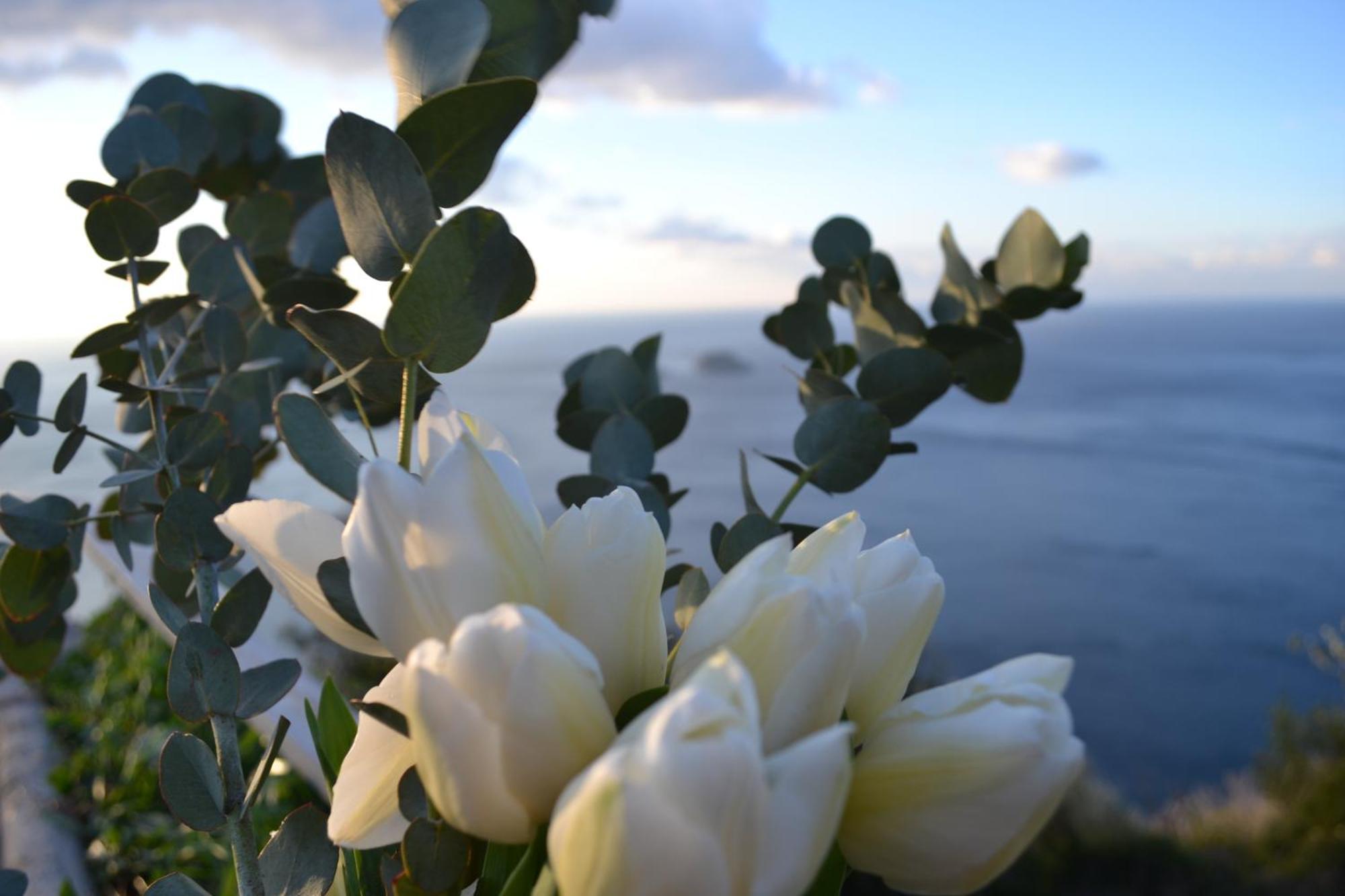 Casa La Bifora Positano Βίλα Εξωτερικό φωτογραφία